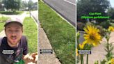 Instagrammer shares transformation footage after changing his neighborhood ‘hellstrip’ into an incredible ‘micro meadow’