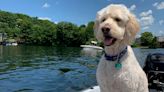 Worcester County Wonders: Quintessential Quinsigamond