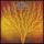 Still Life (Van der Graaf Generator album)