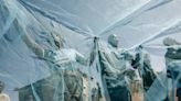 La lucha contra la malaria en África, en un punto crucial por la aprobación de dos vacunas