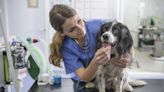 32 common dog diseases to keep an eye out for
