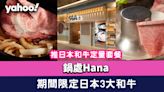 東涌美食｜鍋處Hana推日本和牛定量套餐+任食放題！期間限定日本3大和牛 鹿兒島黑牛／仙岩牛／長崎和牛