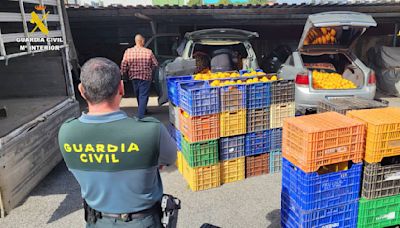 La Guardia Civil detiene en Valencia a 10 personas por el robo de 163 toneladas de naranjas