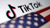 TikTok vows to fight 'unconstitutional' US ban