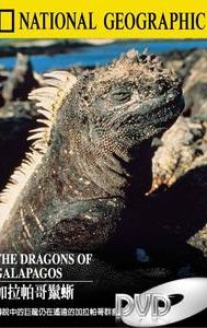 The Dragons of Galapagos