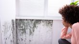 How black mold impacts the lungs