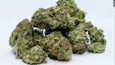 Marijuana to be reclassified as Schedule III substance by DEA