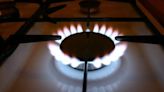 Regulator review recommends 2.8% gas price drop