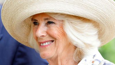 Queen Camilla Reportedly Keeps Prince William in Check When He's "Disrespectful"