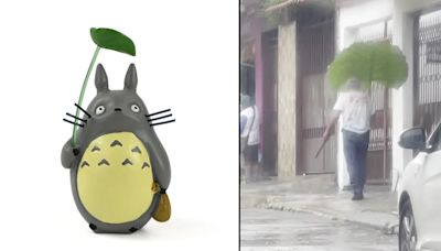 Hombre se vuelve viral al cubrirse de la lluvia con una hoja gigante: “Como Totoro”