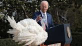 Joe Biden Pardons Turkeys Liberty and Bell in Annual Thanksgiving Tradition