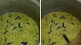 Shocking Video: Hyderabad Students Find Rat In Chutney Served At University Mess - News18