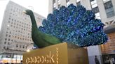 Peacock losses narrow as Comcast hints at future price hikes
