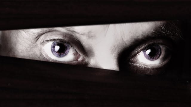 Suspected 'Peeping Tom' caught on video at Warren apartment