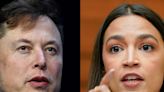 Elon Musk told Mark Ruffalo not everything AOC says is accurate after the actor begged him to get off Twitter following criticism from the lawmaker