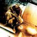 Black Hawk Down (film)