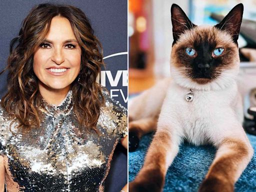Mariska Hargitay Says She's 'in Awe' of Her Kitten Named After Taylor Swift: 'She's So Elegant' (Exclusive)