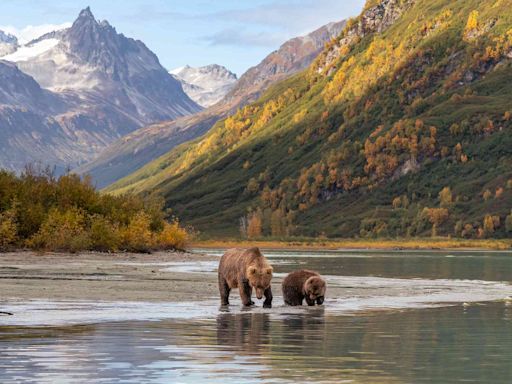 This Remote National Park in Alaska Has a Grizzly Bear Camp — Here's What It's Like to Spend the Night