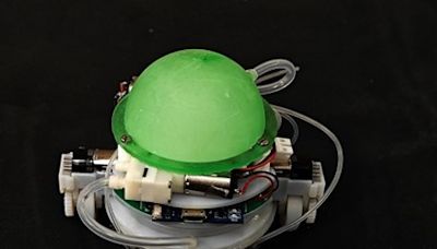 New snail-inspired robot can climb walls | Newswise