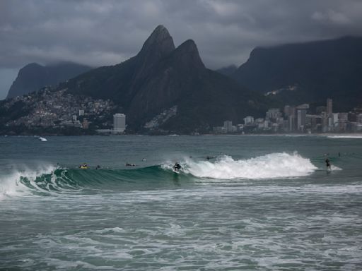 Sharks test positive for cocaine in Brazil’s drug-polluted waters