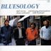 Bluesology