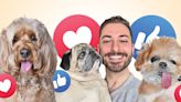 All Dogs Go to Heaven, But Some Pet Influencers Live Forever Online