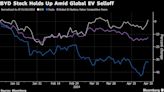 BYD Shares Face Earnings Test as China’s EV Price War Heats Up