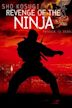 Revenge of the Ninja