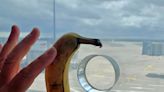 People discover what holes in airport windows are for – with banana for scale