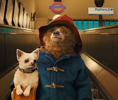 Netflix movie of the day: Paddington is a charming animation with 97% on Rotten Tomatoes