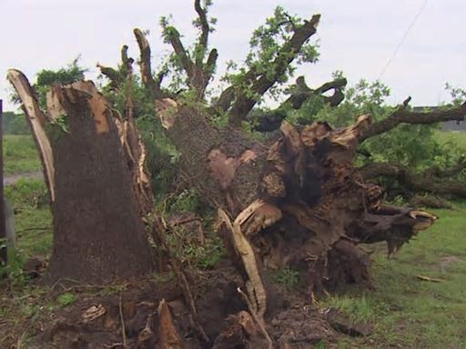 Evidence of at least six tornadoes in North Texas from Friday's storms, National Weather Service confirms