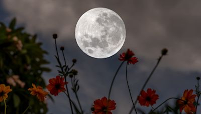 The Flower Moon: What it means for Buddhists and astrologists