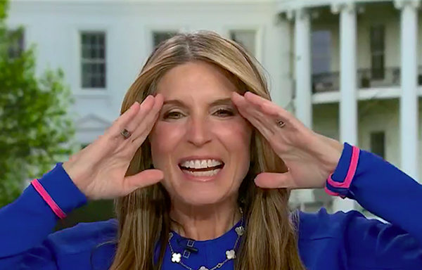 MSNBC's Nicolle Wallace says her 'whole body went cold' when she heard this testimony