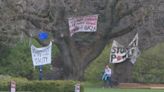 Protests for a ceasefire in Gaza sparking up at the University of Rochester