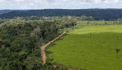 União Europeia doa R$ 120 milhões para o Fundo Amazônia