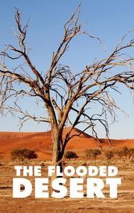 The Flooded Desert