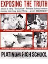 Platinum High School