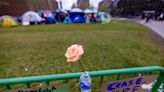 How Boston-area schools are handling campus encampments