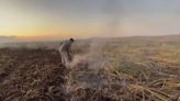 Corrientes, otra vez: alerta por nuevos incendios en el Parque Nacional Iberá