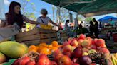 Signs of fall: West Palm's GreenMarket leads us into the fall market season this weekend