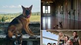 Meet the German shepherd who was the richest dog in the world — and had a huge secret