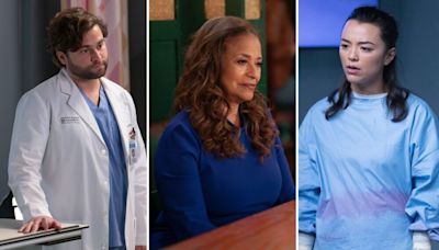 'Grey's Anatomy' Death Theory: Will Mika, Schmitt or Catherine Die in Season 21?