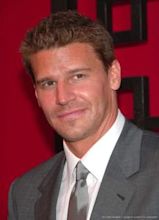 David Boreanaz