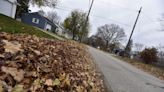 Port Huron rethinking refuse contract after 'woefully inadequate' leaf pickup season