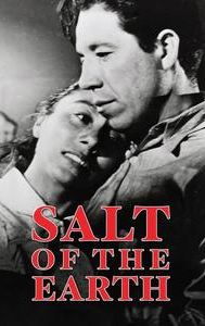 Salt of the Earth (1954 film)