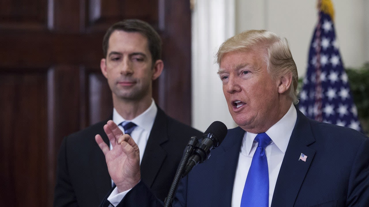 Trump running mate contender Sen. Tom Cotton called 'a workhorse, not a show horse'