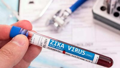 Zika virus: How worried do you need to be about the mosquito-borne disease as cases rise in India? | Business Insider India