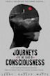 Journeys to the Edge of Consciousness