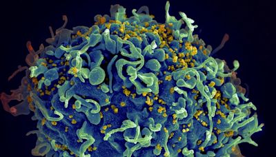 Injections offer females ‘stunning’ protection from HIV