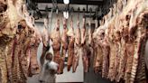 Carne: el año finalizaría con exportaciones por US$3800 millones y una mejora del consumo interno